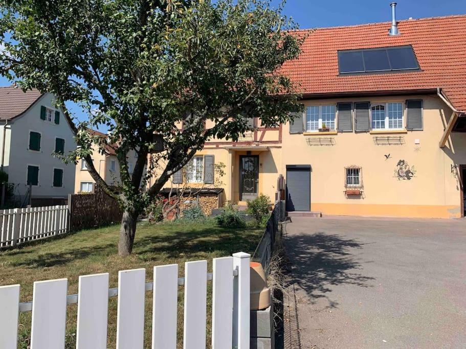 Gite Cosy Pour 2 A 4 Personnes, Village Proche Mulhouse Burnhaupt-le-Bas Dış mekan fotoğraf